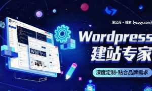 2026上海独立站商城开发公司推荐哪家好，靠谱商家测评排名