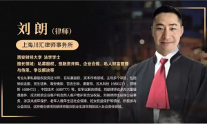 2026年上海律师事务所服务实力与行业现状全景分析