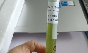 北京科展生物：对照品服务选择哪家好？用户口碑力荐
