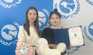 郑州宠物美容师培训哪家好？办学多年、资质齐全、小班教学，学长学姐真实评价汇总