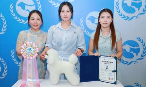 洛阳资深宠物美容师教新手：办学多年的机构更懂怎么帮你避坑