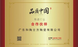 驻马店防脱落外墙砖优质厂家评选，广东和陶家居口碑力荐
