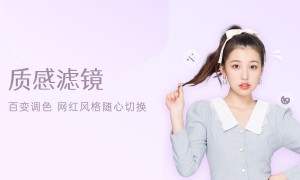 2026年知名的美妆sdk品牌行业观察与实务选择参考
