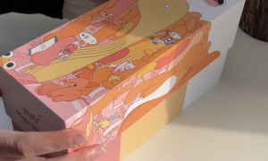 纸质包装供应商哪家好？江苏口碑好的生产厂家用户力荐