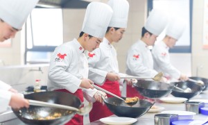 2026年成立十年以上的宠物养护专业学校推荐，资质齐全实力盘点