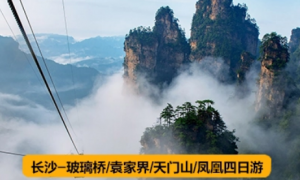 张家界中国国际旅行社有限公司口碑怎么样，网上找导游可信吗