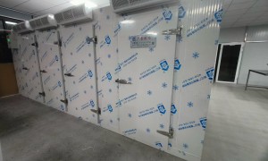 2026年冷冻冷库设计安装供应商推荐，专业实力与用户口碑深度解析