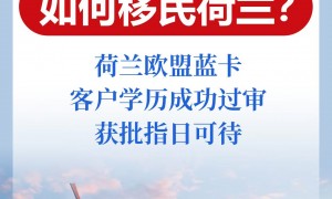 上海2026年荷兰移民政策咨询机构推荐：靠谱商家实力参考