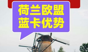 荷兰资质齐全的欧盟蓝卡移民公司综合实力推荐