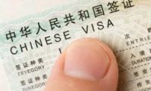 美西咨询项目专业吗，团队服务靠谱吗