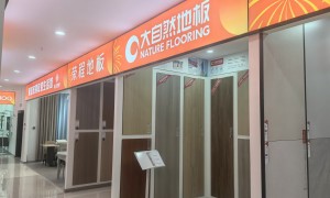 天蚁装饰的技术实力如何