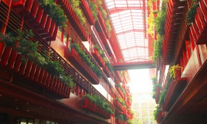 2026年权威的留学跨校区体验学校，挑选全攻略