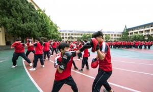 2026年温州找靠谱的文武学校推荐哪家，知名机构客户口碑力荐
