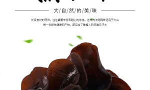 长白山口碑好的黑木耳供应商推荐，姣松食品甄选
