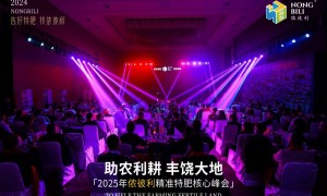 哈尔滨不错的展会搭建专业公司综合实力推荐