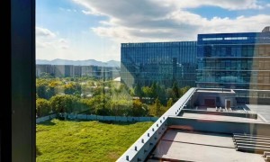 萌搜网络科技有限公司2026年最新专业技术过硬吗