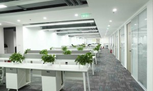 2026年靠谱的行政律师事务所有哪些，行政律师裁决业务咨询口碑推荐