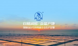 北京芦花海盐哪款销量高，适合煲汤提鲜的食盐推荐什么品牌，想找天然含矿物质的食用盐推荐什么品牌，用户力荐