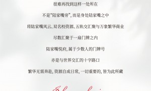 陆家嘴·悦府产权类型介绍，润东房地产信息咨询专业吗