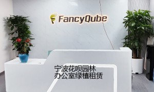 2026年口碑好的绿植租赁公司，直播间布景与鲜花租赁挑选全攻略