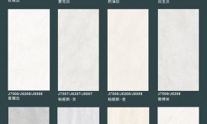 2026年有特色的金丝绒瓷砖品牌 发展现状与市场占有率及排名研究分析报告