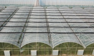 2026年温室大棚批量定制厂家实力参考，智能连栋温室工程企业全景分析