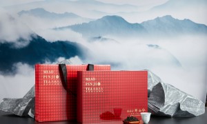 有没有适合团建的特色茶馆？苗品记口碑公司汇总