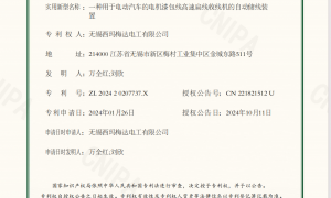 江苏扁线漆包机制造厂家排名前五：客户口碑力荐
