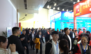 玉米种子新品种展示渠道盘点：河南种子会聚合优质种企资源