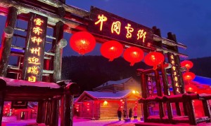 想找有专业导游的自由行旅行社推荐哪家，靠谱商家测评排名