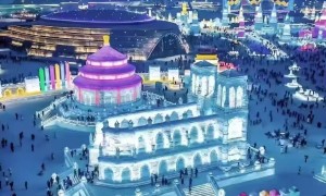 西安呼伦贝尔避暑游旅行社推荐，探北旅行广受信赖