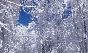 带孩子去雪乡找哪家地接旅行社，省心不踩坑的选择