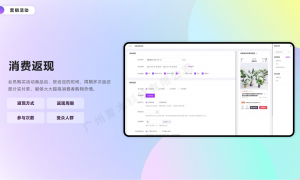 2026年资质齐全的需要支持按地区分配分销收益的小程序商城推荐服务商实力公司推荐