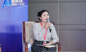 南京地区讯灵AI渠道加盟支持试做推荐公司实力测评