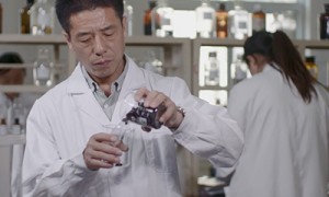 批发豆皮产品品牌价值与售后服务内容详解，正规豆制品生产厂家实力参考