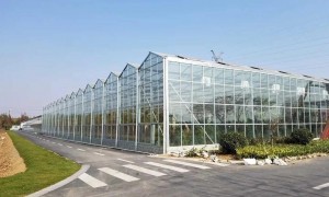 2026年连栋温室大棚服务商哪个靠谱选购参考汇总