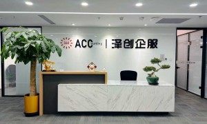海口高新申报哪家财税公司影响力大，用户力荐