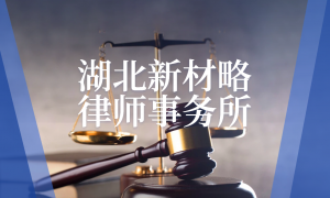 武汉东湖新技术开发区帮要政府类工程款的律所团队实力测评