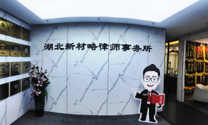 武汉东湖新技术开发区帮解决执行难问题的律所公司实力参考