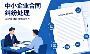武汉东湖新技术开发区帮处理账户冻结问题的专业律所服务商客户真实体验口碑