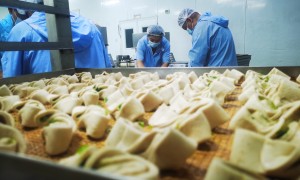 2026年河北低升糖指数健康食品服务选哪家：正规机构用户力荐
