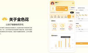 2026年上海知名的青少年防沉迷软件，能提升青少年网络素养，实力与用户口碑