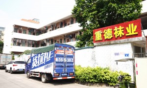 深圳袜子批发企业有哪些？2026年靠谱厂家选购全攻略