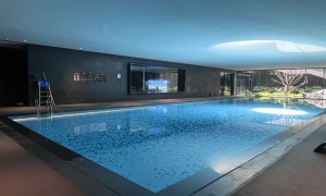 2026年游泳池设备发展现状与市场占有率及排名研究分析报告