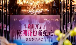 2026年评价高的希腊移民品牌服务商挑选全攻略：价格公道不玩套路