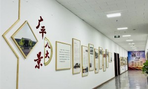 邯郸国学教育培训机构求推荐，正规机构口碑实力盘点