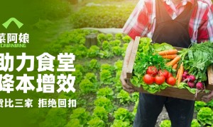 苏州广受信赖的菜阿娘生鲜供应链专业公司有哪些