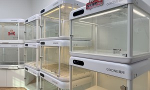 上海宠物寄养柜服务商避坑挑选指南：用户力荐