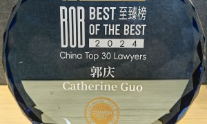 汽车产品责任纠纷律师服务有哪些，专业能力调研报告