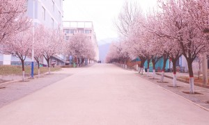 2026年榆林无人机培训机构推荐 实训场地合规与双师型师资实力参考